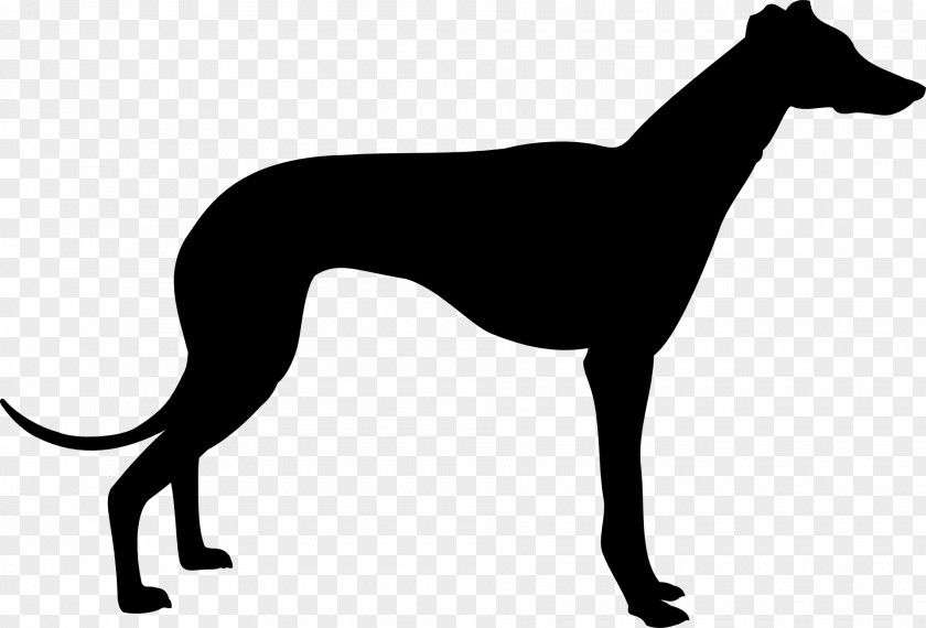 Animal Silhouettes Greyhound Silhouette Clip Art PNG