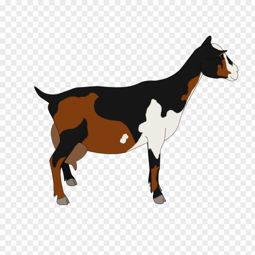 Dwarf Nigerian Goat Pygmy Cattle Drawing Caprinae PNG