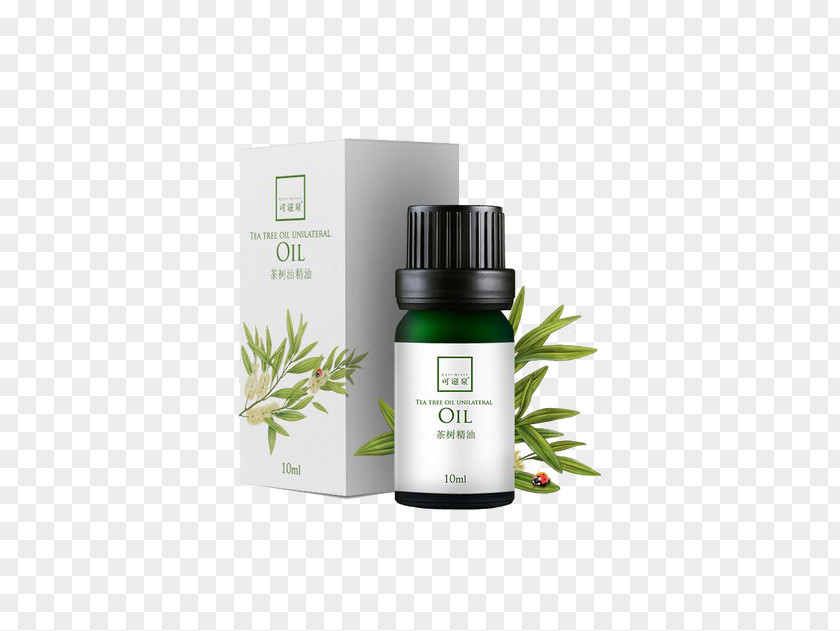 Oil Can Couture Spring Tea Tree Essential Narrow-leaved Paperbark Cosmetics PNG