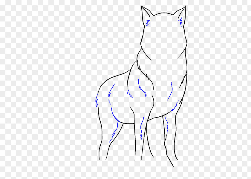 Painting Gray Wolf Drawing Line Art Sketch PNG