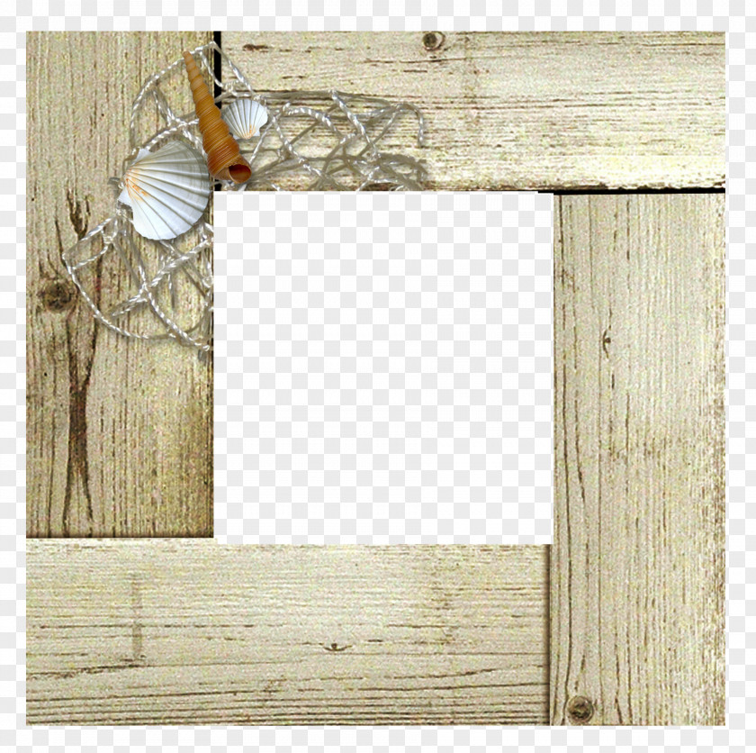 Scallops Conch Decorative Wooden Frame Picture Wood Fishing Net PNG