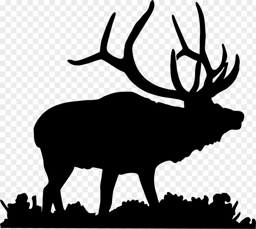 Antler Elk Deer Moose Clip Art PNG