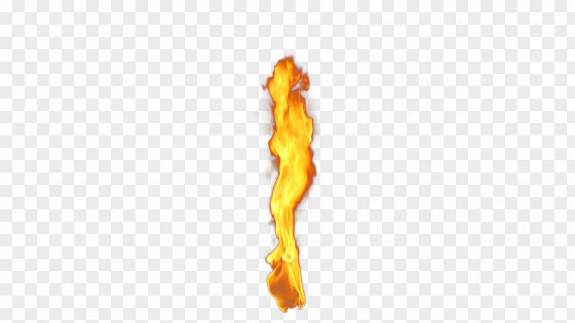 Fire PNG clipart PNG