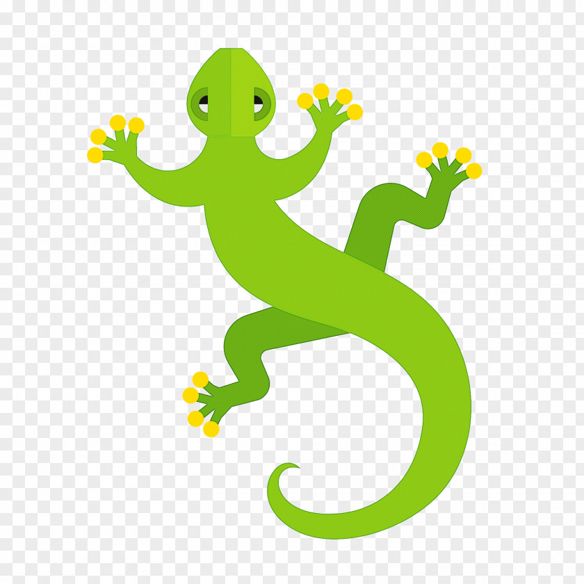 Gecko Green Lizard Cartoon Reptile PNG