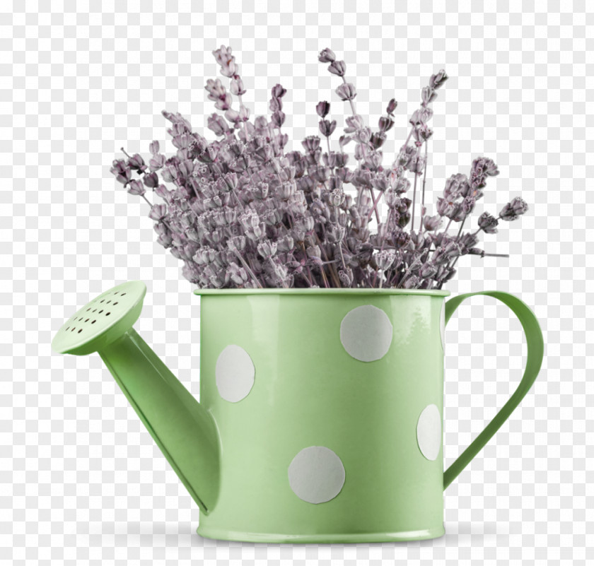 Lavender Watering Cans Herb Flowerpot Plant PNG