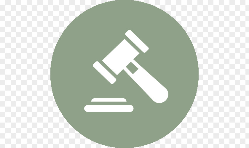 Witness Civil Procedure Court Statute Procedural Law PNG