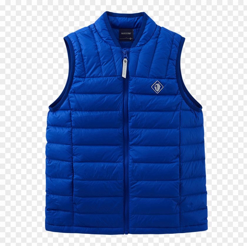 Bk Event Gilets Cobalt Blue Sleeve PNG