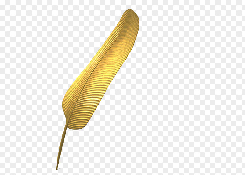 Feather Gold Bird Material PNG