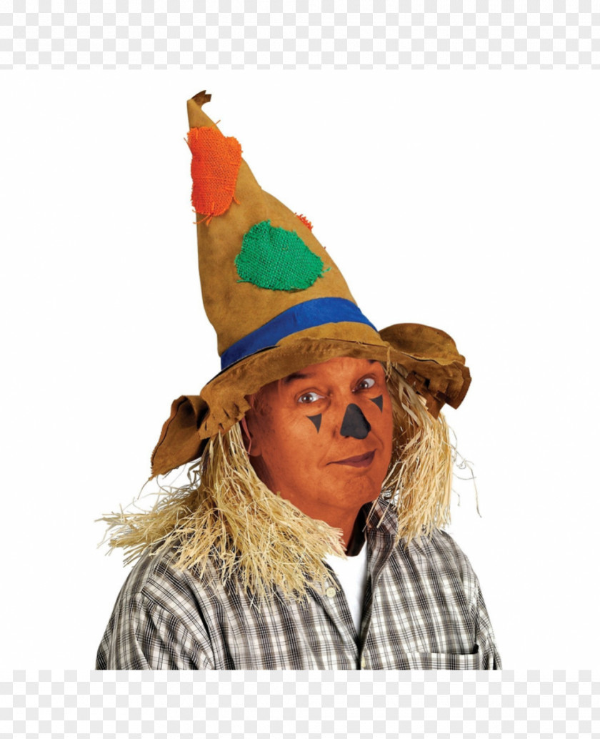 Wizard Of Oz Scarecrow The Hat Costume Robe PNG