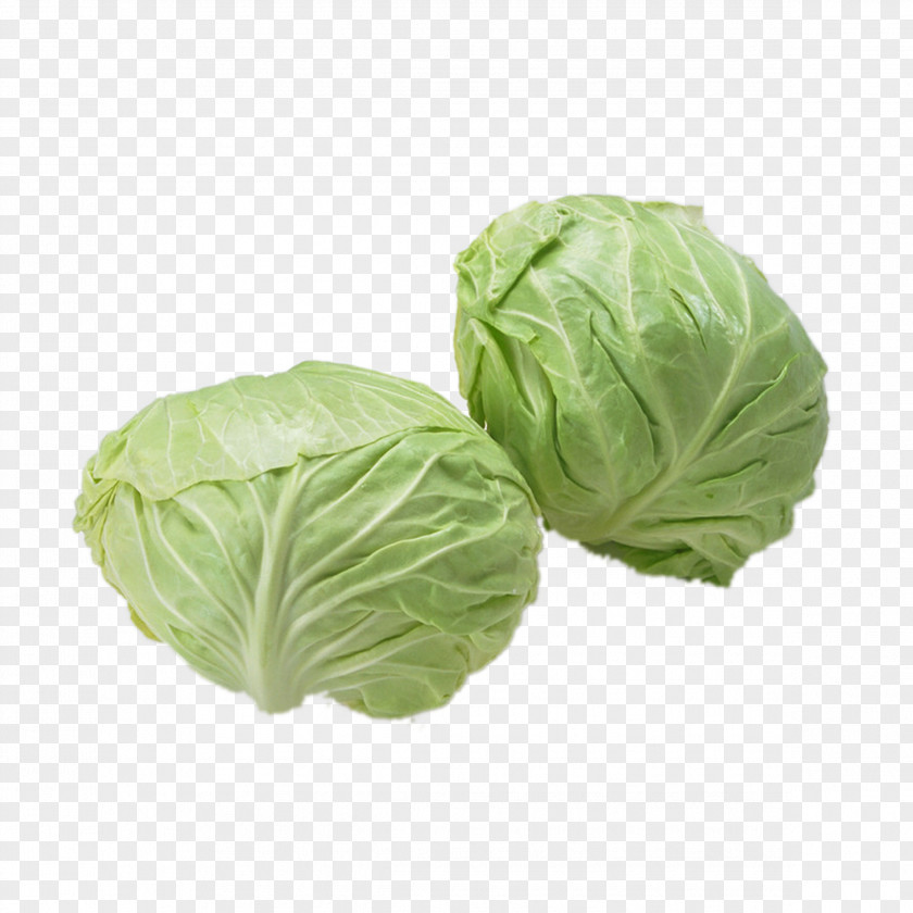 Cabbage Napa Vegetable Food Eating PNG