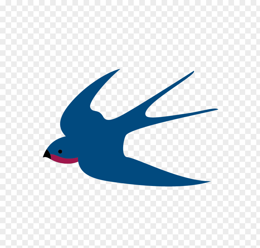 Flight Swallow Design Image Bird PNG