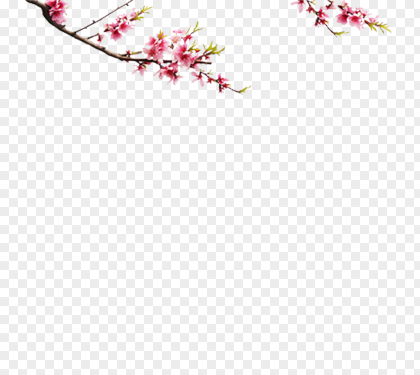 Flower Pattern Choya Umeshu Computer Software Clip Art PNG