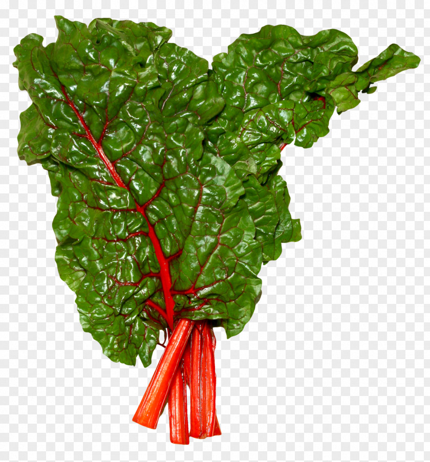 Fresh Swiss Chard Vegetable Health Beetroot PNG