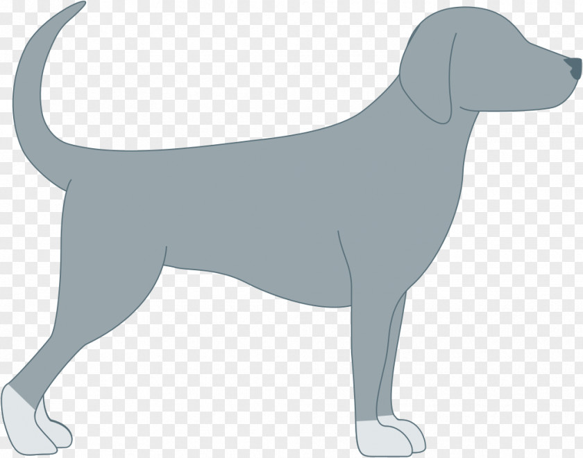 Puppy Labrador Retriever Dog Breed Sporting Group PNG