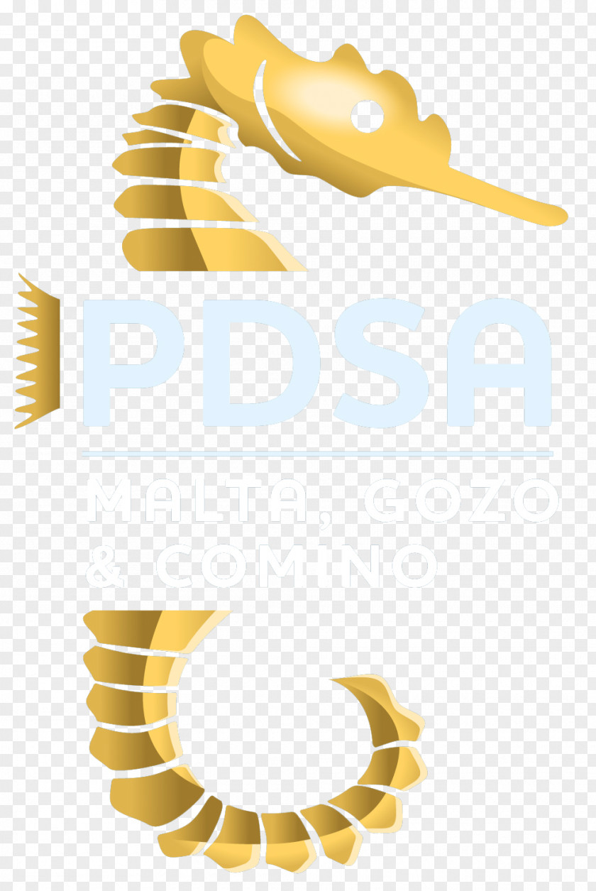 Dive Material Line Clip Art PNG