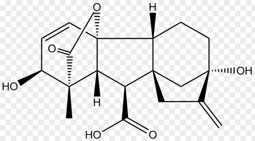 Gibberellin Gibberellic Acid Plant Hormone Chemistry PNG