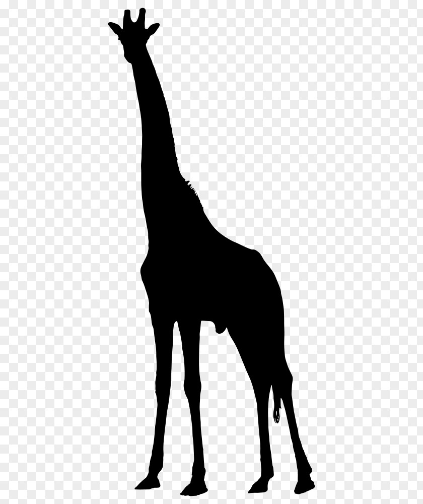 Giraffe Silhouette West African Clip Art PNG