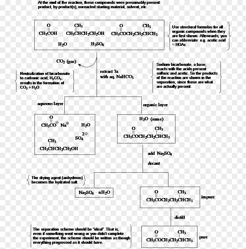 Line Document Angle PNG