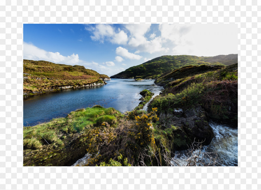 Park Fjord Water Resources Lake District Loch Nature Reserve PNG