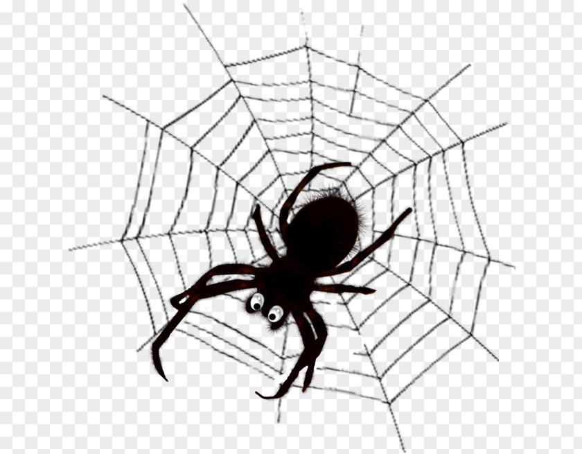 Spider Web Silk Clip Art PNG