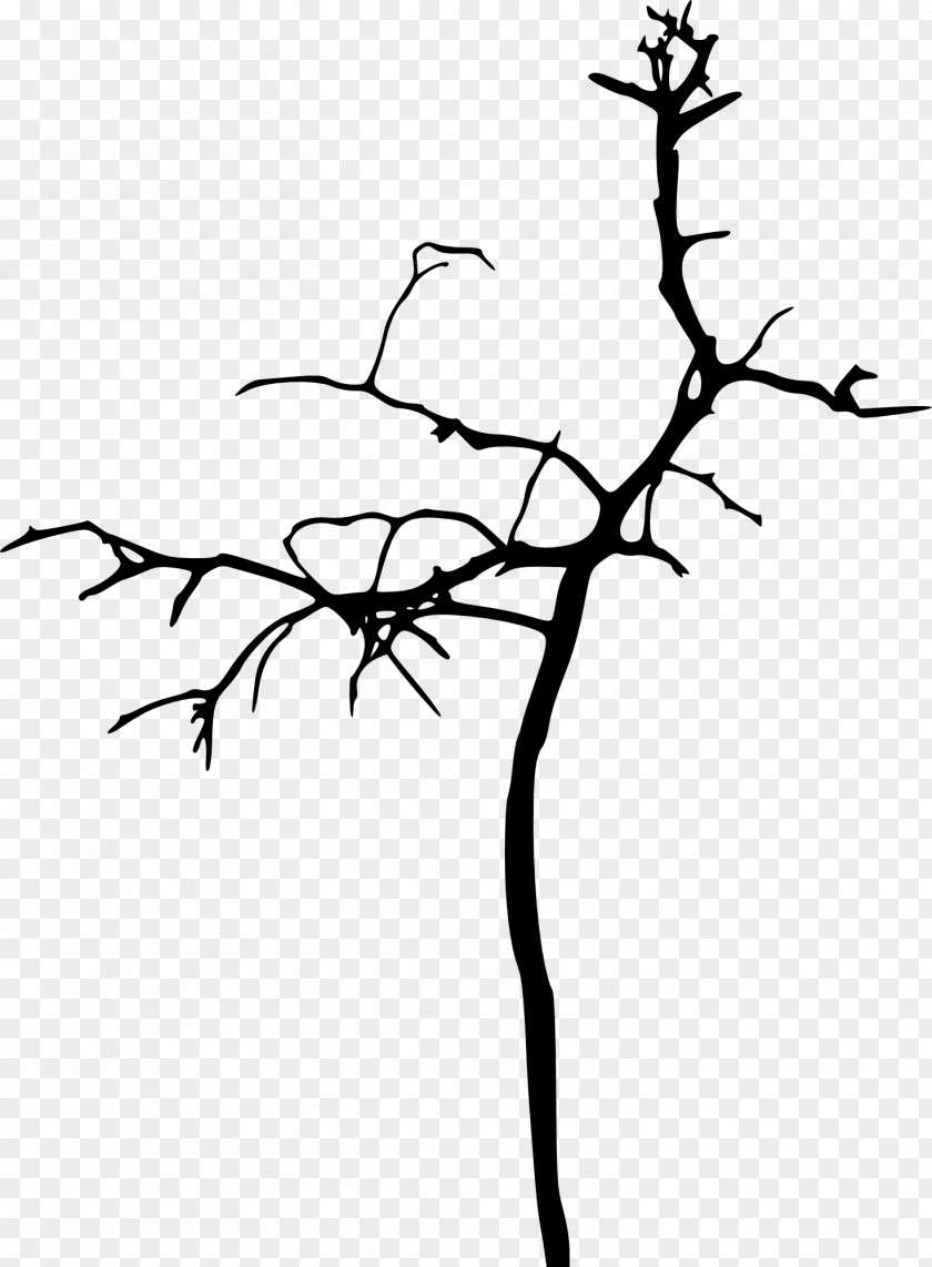 Tree Silhouette Branch Drawing Woody Plant PNG
