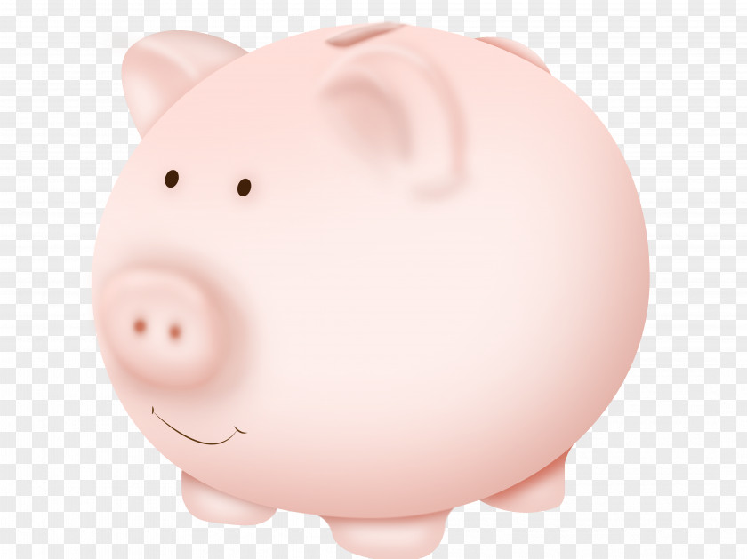 Bank Snout Pink M Piggy PNG