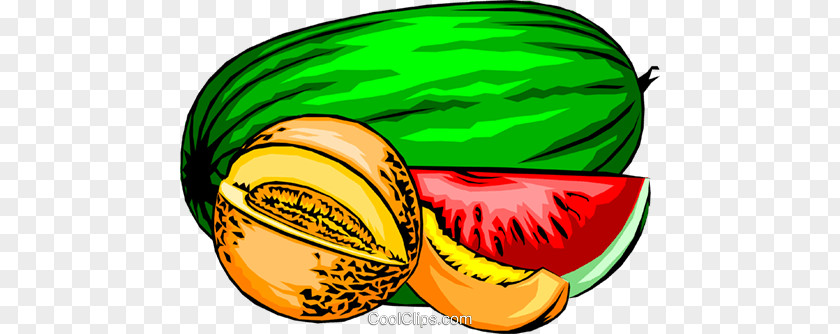 Melon Cantaloupe Watermelon Animated Film Clip Art PNG