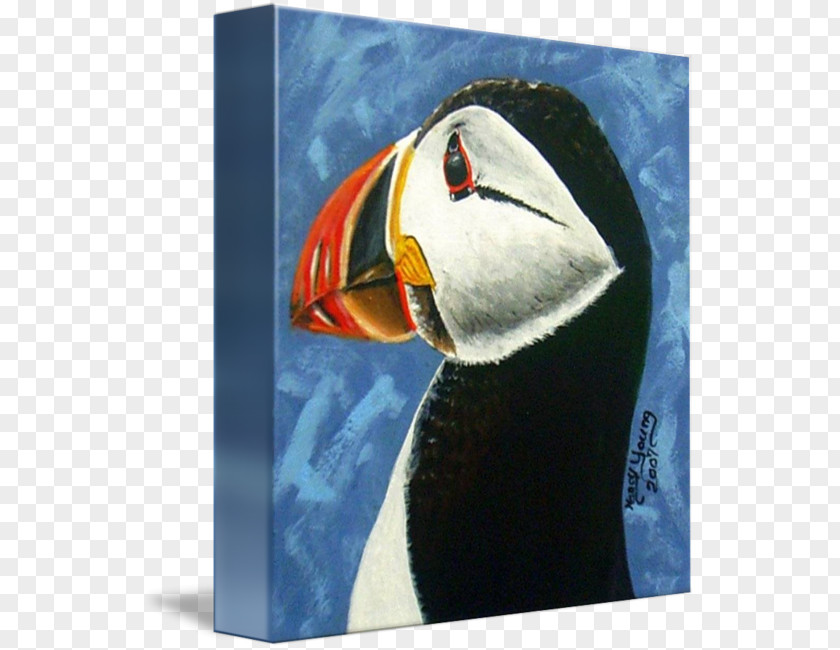 Painting Puffin Beak Toucan Tile PNG