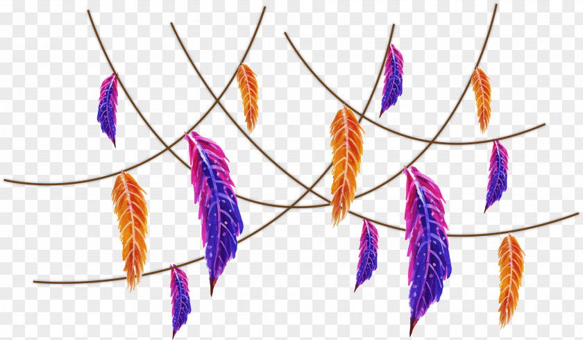 Purple Orange Watercolor Feathers PNG