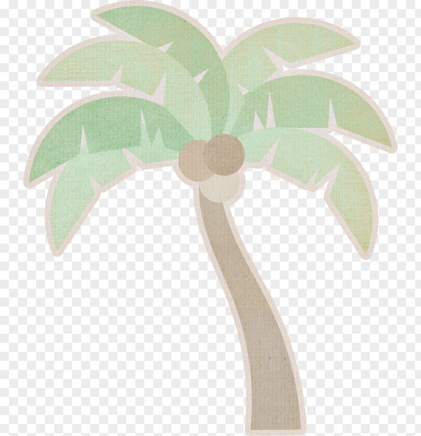Seaside Holiday Tree Leaf Plant Stem María José PNG