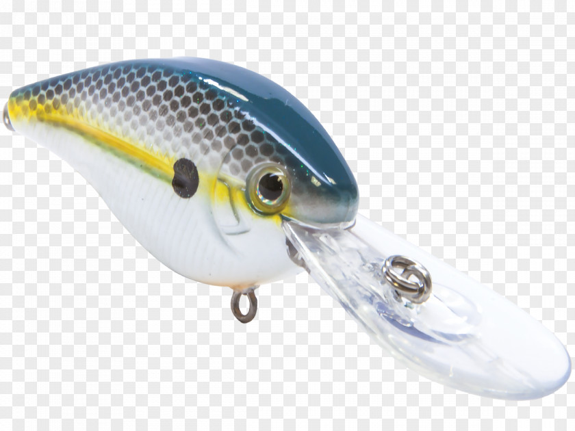Topwater Fishing Lure Baits & Lures PNG