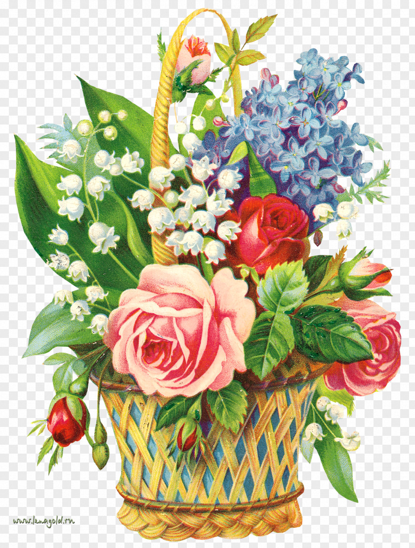 Cartoon Pictures Pastoral Style Decorative Elements Birthday Grandmother Holiday Ansichtkaart Jubileum PNG
