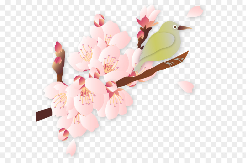 Cartoon Plum Cherry Blossom Quality Illustration PNG
