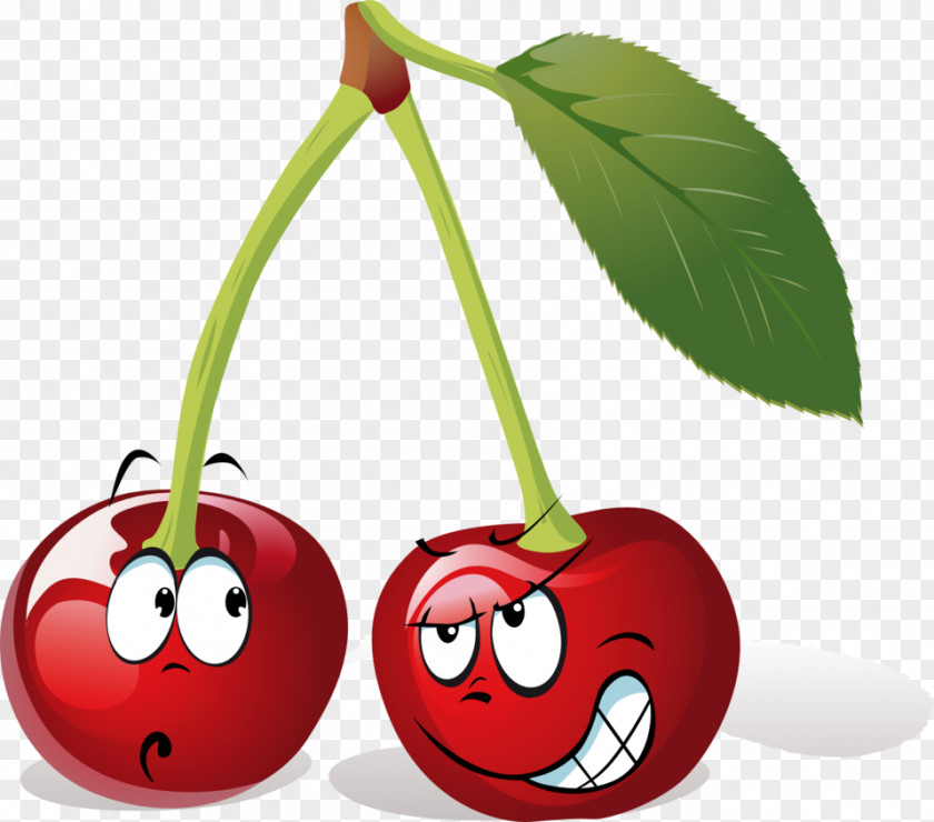 Cherry Fruit Cartoon Clip Art PNG