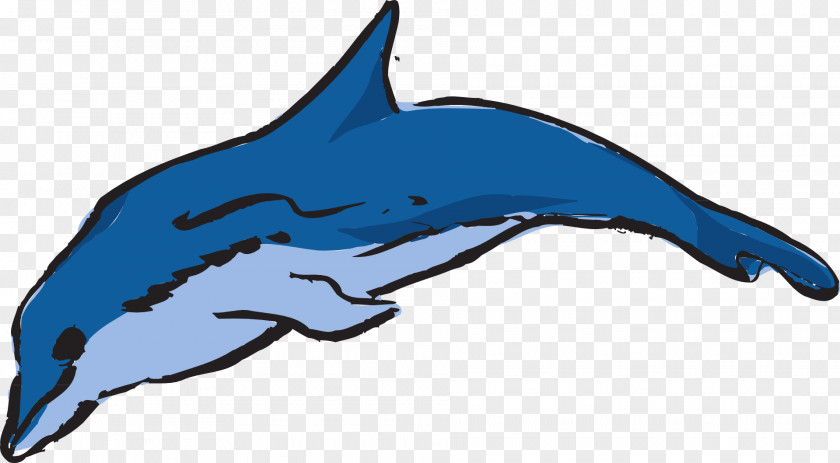 Dolphin River Clip Art PNG