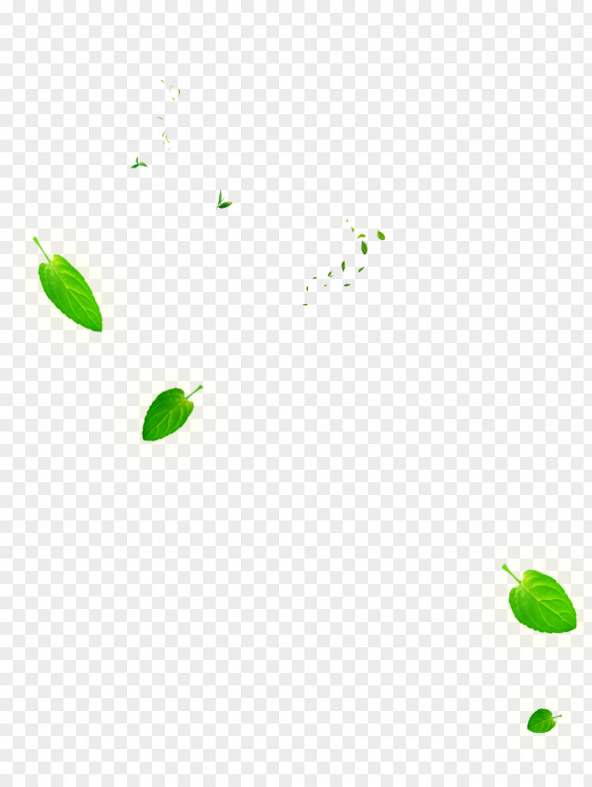 Falling Leaves Leaf Green Euclidean Vector PNG