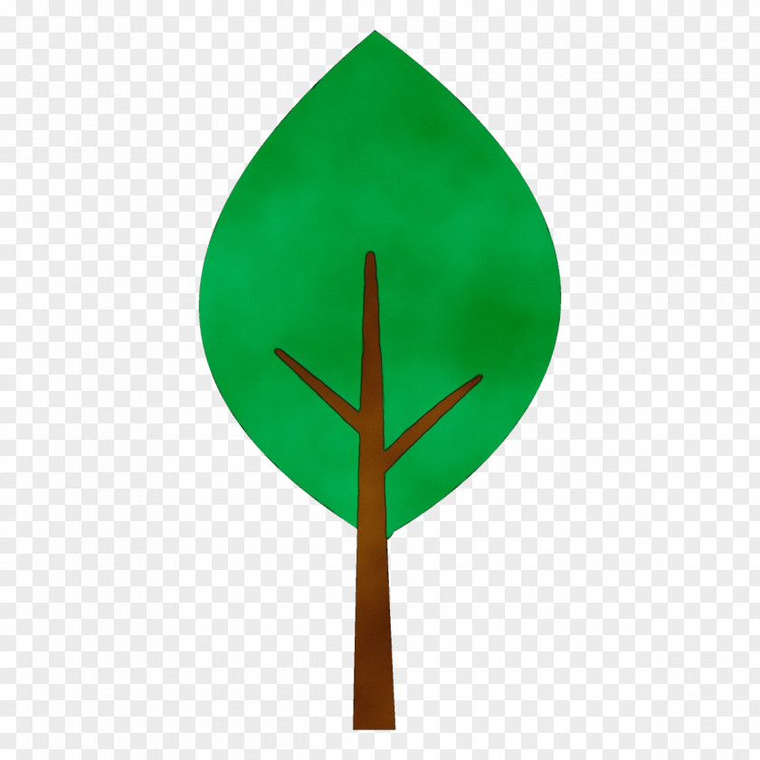 Flag Plant Green Leaf Tree PNG