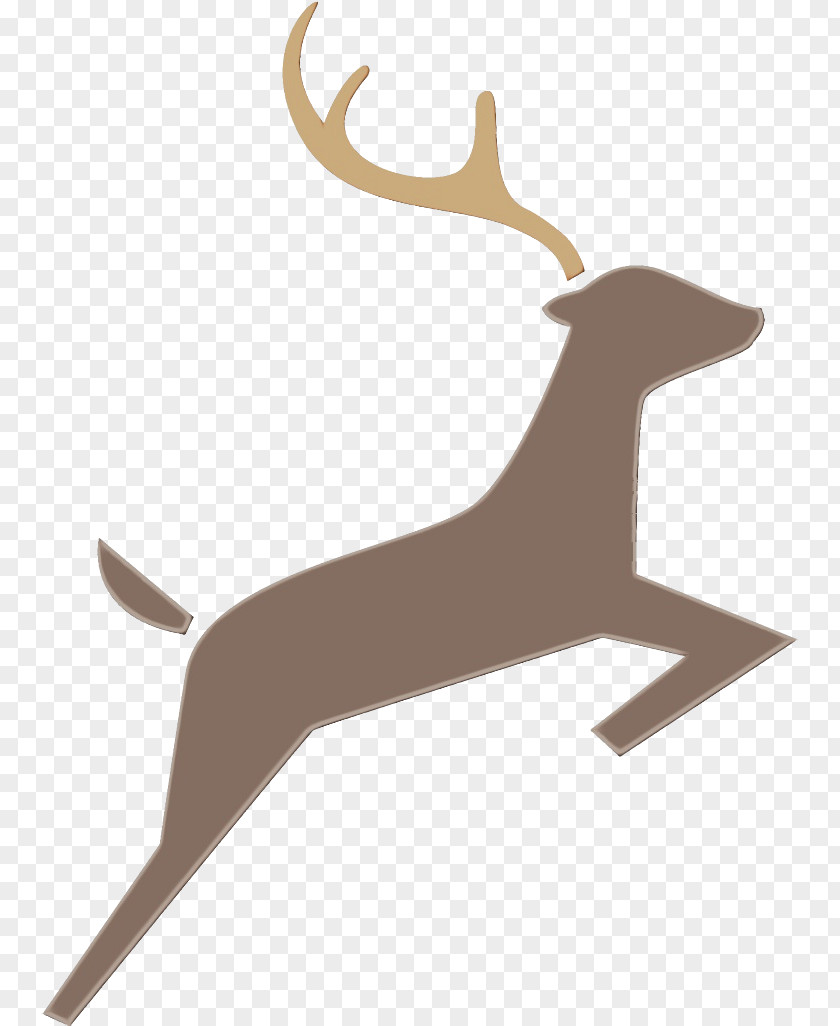 Wildlife Fawn Reindeer PNG