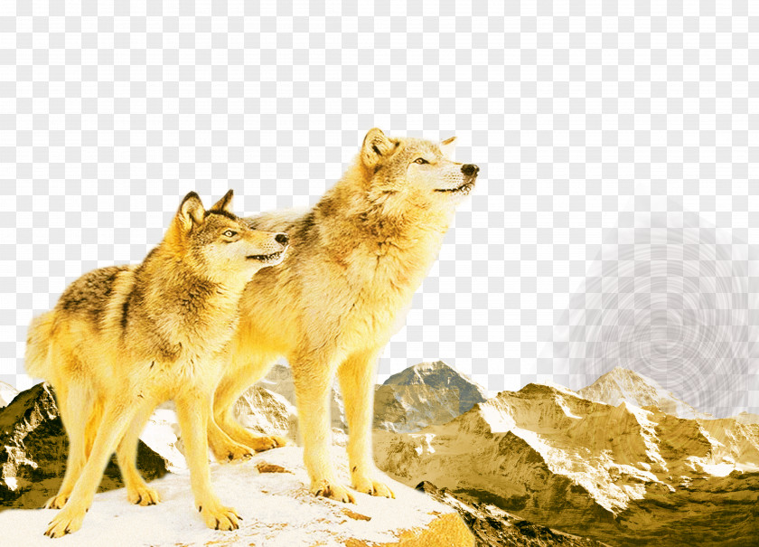 Wolf Team Organizational Culture Business Poster PNG