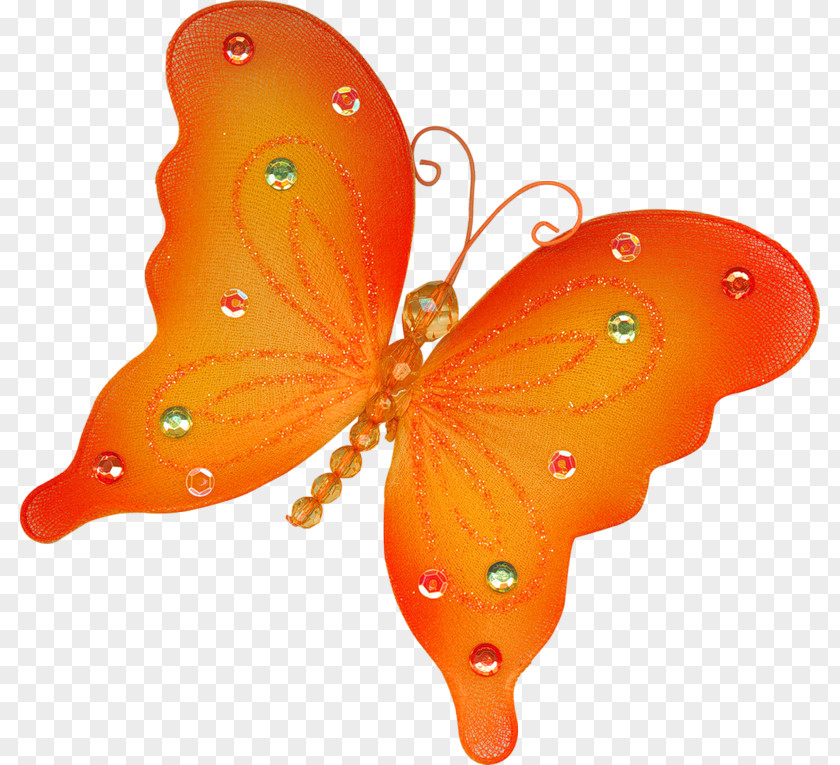 Orange Butterfly Insect Clip Art PNG