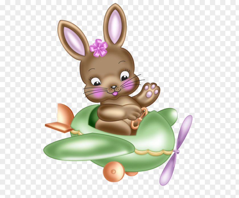 Rabbit Animation Easter Bunny PNG