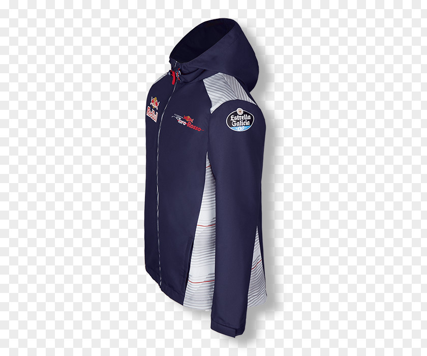 2017 FIA Formula One World Championship Polar Fleece Sleeve Black M PNG