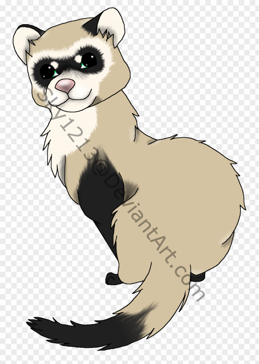 Ferret Black-footed Cat Drawing Dog PNG