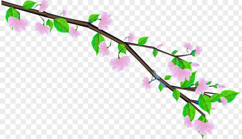 Plum Flower Animation Download PNG