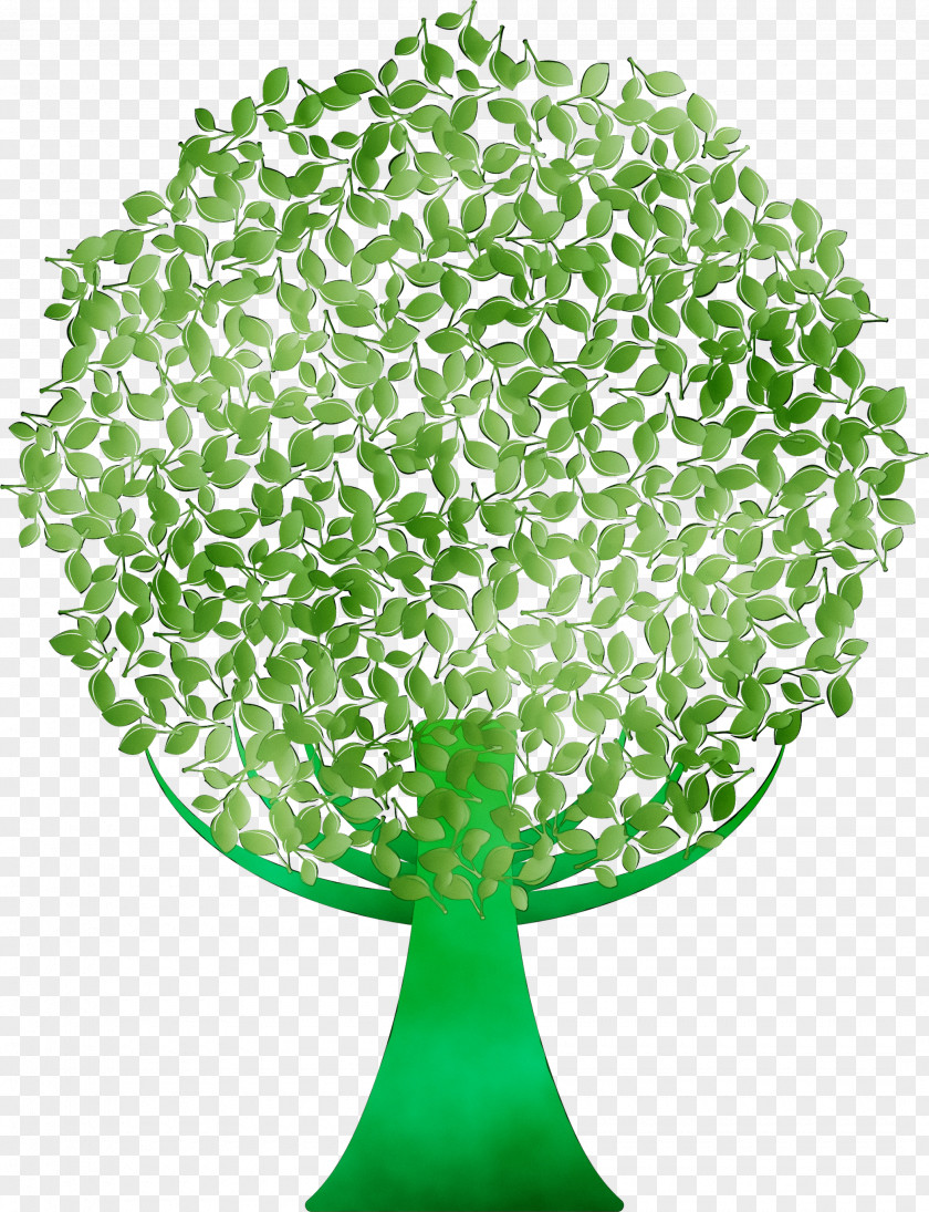 Tree Green Leaf PNG
