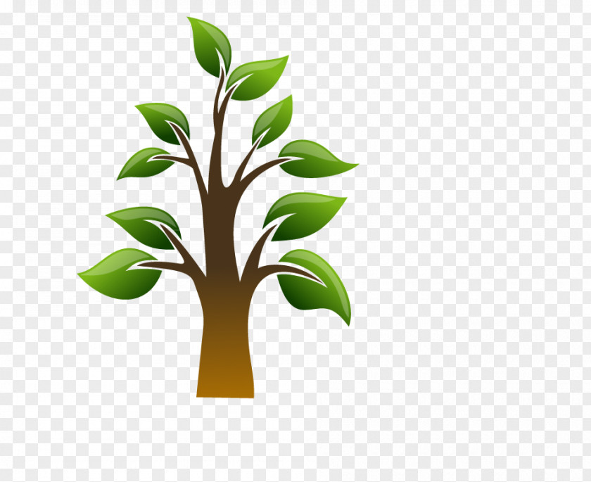Trees Dietary Supplement Health Arthritis Vitamin Arborvitae PNG