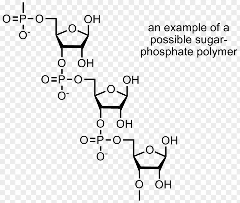 Carbohydrate Polymer Macromolecule Chemistry Monomer PNG