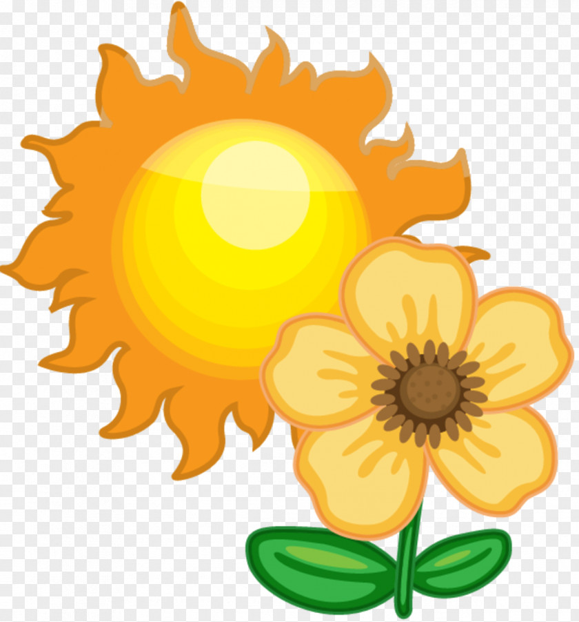 Clip Art Weather Forecasting Sunflower Seed Free Content PNG