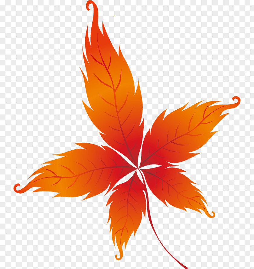Fall Season Autumn Leaves Drawing Leaf PNG