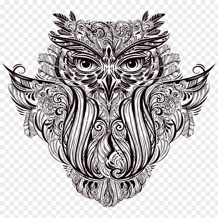 Owl Illustration Drawing Ornament PNG